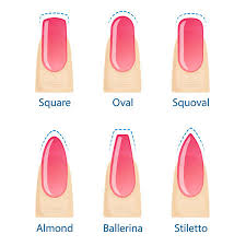 Doch diese zeit ist so langsam aber sicher vorbei. Nagel Manikure Satz Von Nagel Formen Oval Quadratisch Mandel Stilett Ballerina Squoval Vektor Lizenzfrei Nutzbare Vektorgrafiken Clip Arts Illustrationen Image 84178377