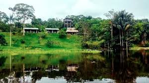 Dusk 'til dawn, every day Reserva Natural Palmari Seen From Javary River Picture Of Reserva Natural Palmari Paumari Tripadvisor