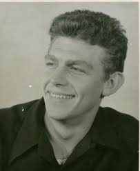 Family's civil war union service history