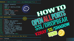 High speed of internet pdoection, up to 1gb/sec & 4 days active period per ssh account. How To Open All Ubuntu Ports Vps Ssh Ssl Tls Squid Proxy Openvpn Tcp Udp Youtube