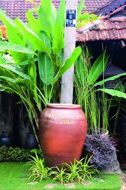 Lalu kutarik jariku dari dalam lubang itu, lalu aku mulai menjilati. Gambar Laman Tradisional Rumah Teres Paling Ringkas Dan Kemas Di Dunia Impiana