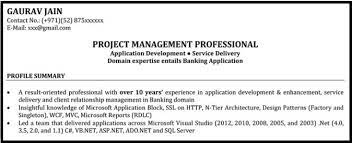 Resume Format For It Project Managers With Sample