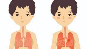 • pneumonia cu mycoplasma pneumoniae: Pneumonia Bacteriana La Copii Se Poate Complica Cu Pleurezie Cand In Cavitatea Pleurala Se Acumuleaza Lichid In Exces Reginamaria Ro