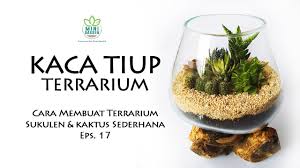 Pemilihan tanaman yang diletakkan di dalam terarium harus tepat, mengingat volume wadah terrarium yang terbatas. Kaca Tiup Terrarium Cara Membuat Terrarium Terbuka Eps 17 Youtube