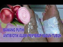 Tengku asmadi 20 april 2016. Cara Menghilangkan Racun Dalam Tubuh Secara Alami Dengan Bawang Merah Detoksifikasi Youtube