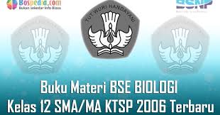 We did not find results for: Lengkap Buku Materi Bse Biologi Kelas 12 Sma Ma Ktsp 2006 Terbaru Bospedia