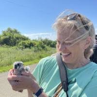 80+ "Becky Abel" profiles