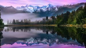 Want to learn about the nature and wildlife of new zealand?travel with the experts at goway. 6122270 Mountains Lake Matheson Forest Cool New Zealand Fun Nature Cool Wallpapers For Me