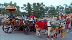 Horse Carriages at Best Price in India