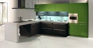 White lacquer kitchen cabinets black examples classy stunning high. Gloss Lacquer Kitchen Cabinets Houzz
