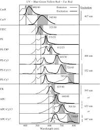 fluorochrome an overview sciencedirect topics