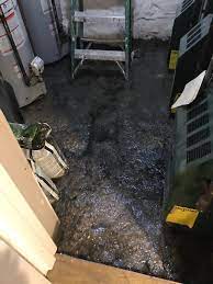 Raw Sewage Back-Up Remediation