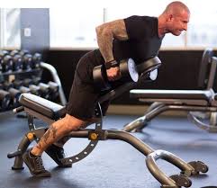 Jim Stoppani S Full Body 5x5s My New Life Fitness Full Body Workout Program Best Full Body Workout Body Workout Plan