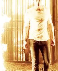 It's been a while friends! Damon Salvatore The Vampire Diaries Wiki Fandom