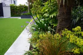 2014 July Sandycove Garden Garden Designer Agata Byrne Garden Design Coastal Gardens Garden