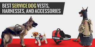 8 Best Service Dog Vests In 2019 Review By A Us Marine