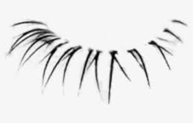 Yawd provides for you free lashes png cliparts. Free Eyelashes Clip Art With No Background Clipartkey