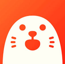 So, so that you do not have complications, we recommend the best random video chat app. 11 Best Random Video Chat Apps With Strangers For Android Ios