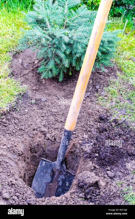 Pala e scavare buche nel terreno, lavorando in giardino Foto stock - Alamy