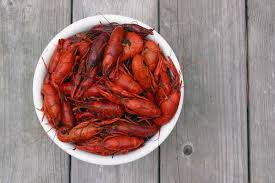 Record yourself saying 'crustacea' in full sentences, then watch yourself and listen.you'll be able to mark your mistakes quite easily. Crustaceans Pronounce