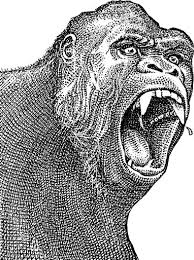 In this video, i will be showing you all how to draw the skullcrawler from the 2017 king kong movie. King Kong Becomes The First Giant Ape To Lose A Fight To A Dead Turtle Wsj