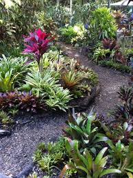 Bromeliad Gardens Google Search Tropical Landscaping Tropical Garden Design Tropical Garden