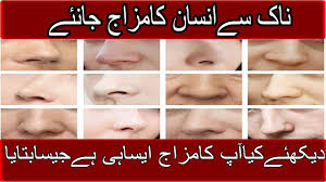Nose Sy Insan Ka Mizaj Face Reading In Urdu Hindi Youtube nose sy insan ka mizaj face reading