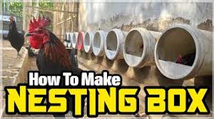 ===== reban ayam/ itik diy special dari agrofarm yang diperbuat dari kayu berkualiti. Tutorial Kilat Membuat Tempat Bertelor Ayam Praktis Dan Mudah