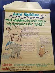 Pin By Wendy Zimny On 3rd Grade 4th Grade Science Fourth Grade Science 4th Grade Science Projects