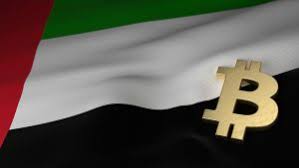 Financial institutions are advised not to use bitcoin. Uae Based Investors Reveal Outlook For Bitcoin Markets