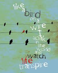 Bird On A Wire Meaning Like A Bird On A Wire Inspirational Poetic Original Etsy Inspirational Quotes Inspiration Illustration Art