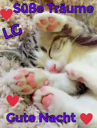 Abendgrüße gute nacht bilder für whatsapp gute nacht bilder gratis gute nacht bilder lustig gute nacht videos für whatsapp kostenlos herunterladen gute nacht videos für whatsapp kostenlos schreib weiter bilder gute nacht videos für whatsapp kostenlos. Pin Auf Susse Traume Gute Nacht