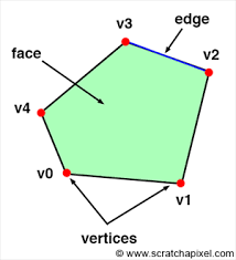 Difference between cube and cuboid is explained in terms of edges,faces and vertices. Introduction To Polygon Meshes Introduction To Polygon Meshes