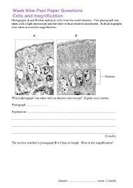 It not only signifies the culmination of twelve years of formal schooling but the nsc examinations is a barometer of the health of the education system. Week Nine Past Paper Questions Cells And Microscopes