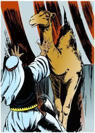 If the camel once gets his nose in the tent, his body will soon follow. 24 Camels Nose Ideas Camels Nose Camels Illustration