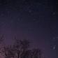 Stargazing Night: Beaver Moon event image