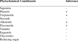 Image result for Triclisia