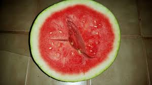 Watermelon is a good source of vitamin b, which is responsible for energy production in the body. Why Is My Watermelon Hollow Learn About Hollow Heart In Watermelons