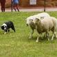 ScotsFest Arkansas Scottish Festival & Homecoming