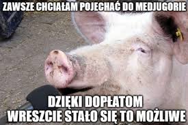 Jarosław jakimowicz podczas pobytu w niemczech został „adoptowany przez rodziców swojej ówczesnej narzeczonej, która zginęła w wypadku. Internauci Nie Darowali Memy O Programie Krowa Podbijaja Internet Foto Nczas Com