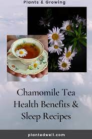 Chamomile Tea Health Benefits Recipes Chamomile Tea Tea Health Benefits Mint Tea Benefits
