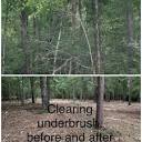 MILNER FORESTRY MULCHING AND DEBRIS REMOVAL - Updated April 2024 ...