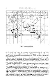 Image result for Scolopia stolzii