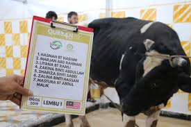 Apakah anda sedang mencari referensi kumpulan harga burung harga burung, harga burung 2020, daftar harga burung, harga burung 2019, harga burung terbaru, harga murai 2021, harga burung. Qurban 4 Syria Syria Care