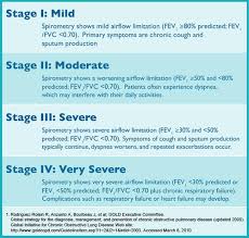 Image result for COPD Staging