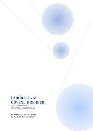 Http Www Cevrehastanesi Com Tr Upload Dosya Biyrhb02 Laboratuvar Guvenlik Rehberi Rev01 Kltpdf 20181010122242 Pdf