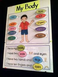 Pin On Fun Stuff For Teachers