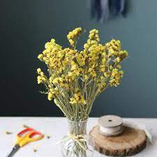Pin On Dried Flowers