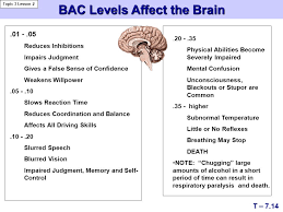 Blood Alcohol Concentration Factors T 7 6 Topic 3 Lesson 1