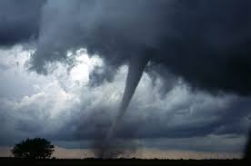We did not find results for: Piemonte Tornado Scoperchia Tetti E Abbatte Alberi I Danni In Tutta La Regione Video